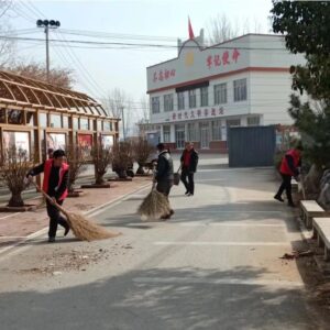 村庄清洁在行动 | 桑村镇：党员带头大扫除 整洁村容过新春-爱山亭网