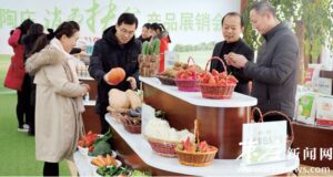 消费扶贫 巩固脱贫成果-爱山亭网