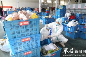 电商平台齐发力 助力民生同抗疫-爱山亭网