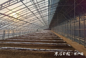 【五中全会精神在枣庄】“党建+生态+产业+文化” 打造乡村振兴新样板-爱山亭网