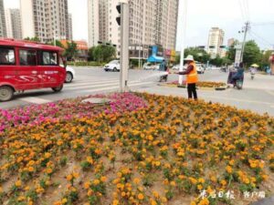 薛城区园林部门开展市容环境大整治-爱山亭网