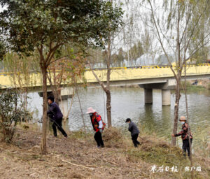 陶庄镇：常态化管理打造美丽河湖-爱山亭网