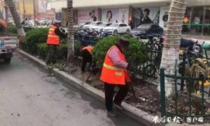 加强园林绿化精细管理 助推城市品质提升-爱山亭网