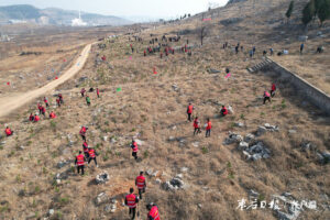 一年之计在于春 植树造林正当时-爱山亭网