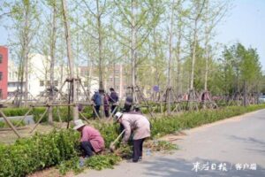 铁道游击队纪念园景观提升 迎接建党100周年-爱山亭网