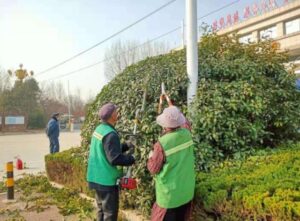 滕州打造城市最美“绿色天际线”-爱山亭网