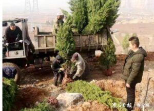 植树添绿 播种希望-爱山亭网