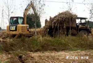 陶庄镇突出“秸秆清运”提升人居环境整治质效-爱山亭网