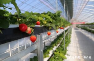 这处绿色主题公园为村民带来绿色希望-爱山亭网