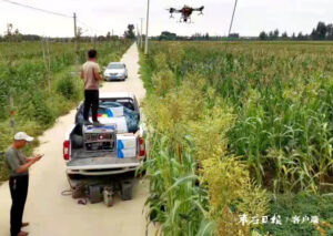 陶庄镇无人机喷洒农药助农增收-爱山亭网