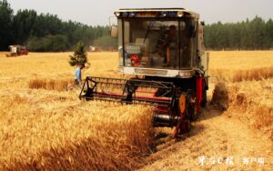 陶庄镇厉马秣兵战“三夏”农业生产-爱山亭网