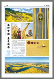 赞！《人民日报》聚焦薛城区驾驶农机晾晒新收粮食场景-爱山亭网