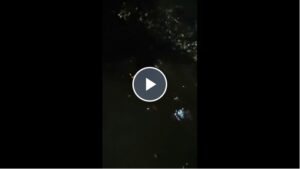 【闻汛而动】龙泉街道赵楼居开展防汛排查-爱山亭网