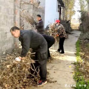 陶庄镇人居环境整治增色乡村振兴-爱山亭网