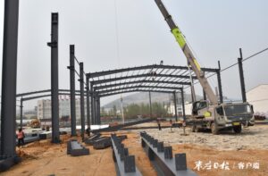 陶庄镇“产业集聚蝴蝶效应”推动“双十镇创建”加速跑-爱山亭网