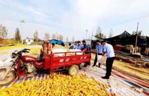 丰收时节好“警”色！滕州公安全力做好丰收安保工作-爱山亭网