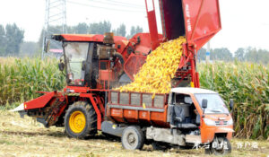陶庄镇“三秋”农业生产开始启动-爱山亭网
