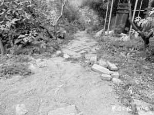 曝光台 | 砖块横七竖八 到处坑坑洼洼 凤鸣公园厕所小路坎坷难行-爱山亭网