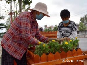 陶庄镇扮靓镇域环境喜迎国庆-爱山亭网