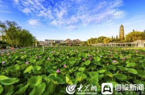 数字乡村看枣庄|智慧化数字赋能 探索“e呼善应”新模式-爱山亭网