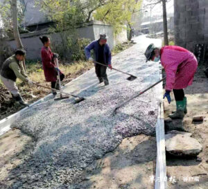 陶庄镇贯彻全会精神办实事 工作一线党旗红-爱山亭网