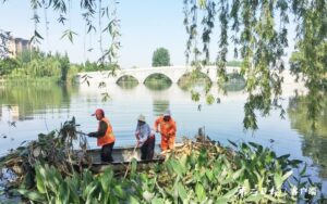 泛舟打捞 湖上“美容”-爱山亭网
