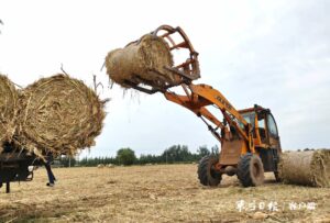 周营镇：秸秆变废为宝促增收-爱山亭网
