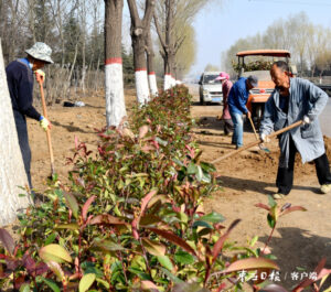 陶庄镇：“植树添绿”打造生态美-爱山亭网