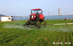 “托管”新形式 “麦管”正当时-爱山亭网