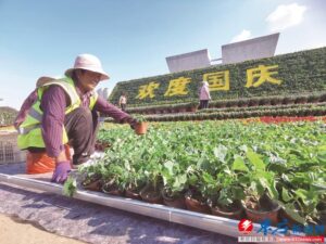 “盛装”迎国庆-爱山亭网