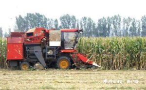 陶庄镇 打好“三秋”丰收战-爱山亭网