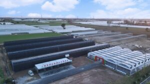 周营镇荣登全市乡村振兴特色镇榜单-爱山亭网