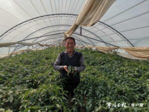 党建引领特色种植 实现农民共同富裕-爱山亭网