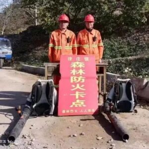 【部门行动】徐庄镇：多措并举，全力抓好春季森林草原防灭火工作-爱山亭网