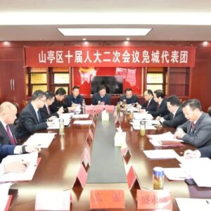 刘洪鹏参加山亭区十届人大二次会议凫城镇代表团分组讨论-爱山亭网