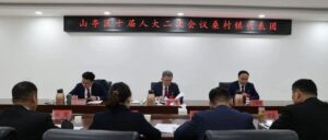 王德海参加山亭区十届人大二次会议桑村镇代表团分组讨论-爱山亭网