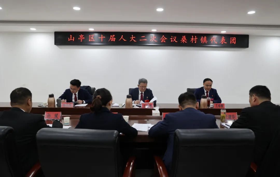 图片[2]-王德海参加山亭区十届人大二次会议桑村镇代表团分组讨论-爱山亭网
