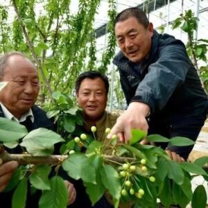 【人大代表风采】廉士华：党建引领促发展 绘就乡村振兴新画卷-爱山亭网