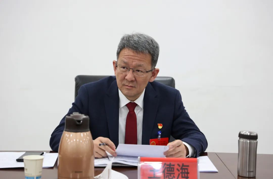 图片[3]-王德海参加山亭区十届人大二次会议桑村镇代表团分组讨论-爱山亭网