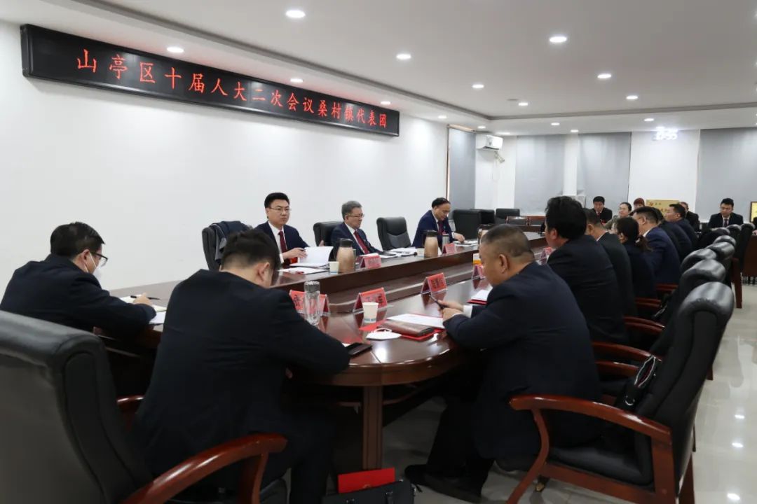 图片[4]-王德海参加山亭区十届人大二次会议桑村镇代表团分组讨论-爱山亭网