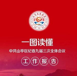一图读懂 | 中共山亭区纪委九届三次全体会议工作报告-爱山亭网
