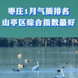 枣庄1月气质排名 山亭区综合指数最好-爱山亭网
