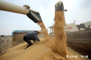 “土地托管”实现多赢 助力乡村振兴-爱山亭网