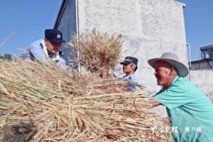 峨山派出所助农忙麦收-爱山亭网