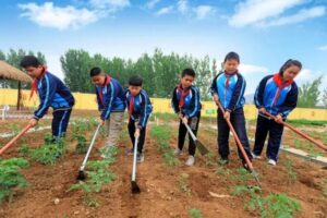 文明校园 | 点赞！峄城区阴平学区因地制宜开拓劳动教育新样态-爱山亭网