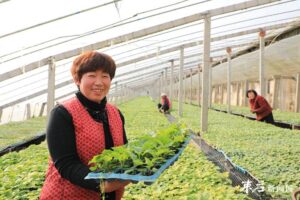 人勤春来早 大棚农事忙-爱山亭网