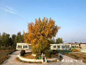 千年浪漫邂逅 领略小镇色彩-爱山亭网