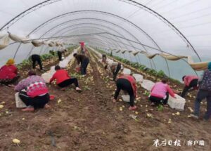 党建引领产业旺 同心致富奔小康-爱山亭网