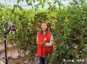 党建引领丰收红 志愿服务带货忙-爱山亭网