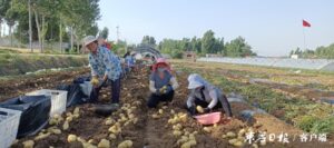 阴平镇：发展特色产业 助力乡村振兴-爱山亭网